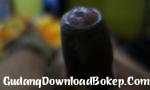 Download video bokep 18 yo Boy Bermain dengan Ayam Hitam Muda terbaru - GudangDownloadBokep.Com