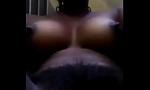 Download Bokep Terbaru Shasha Ellpaedmo meri Kimbe