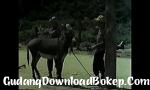 Film bokep para pecinta keledai Gratis - GudangDownloadBokep.Com