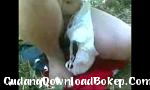 Video bokep online kos irani hot di GudangDownloadBokep.Com