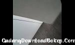 Video bokep toilet jepang - GudangDownloadBokep.Com