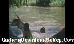 Download video bokep The Pink Lagoon 1984 penuh film untuk lebih banyak kunjungan zo ee 4lxti 3gp