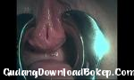 Video bokep BDSM Fingering uretra gadis hot - GudangDownloadBokep.Com