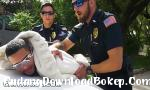 Download video bokep GAY PATROL  Pimp Gets Busted Dan Gay Hoes Nya Ambil Cop Dick Untuk Daddy 2018 terbaru