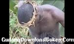 Download Bokep bercinta amatir Afrika nyata di pohon mp4