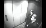 Download Film Bokep Mamado Verga al Jefe en el Elevador http colon sol terbaik