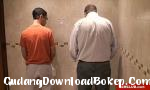 Bokep Beruang Sialan di Toilet - GudangDownloadBokep.Com