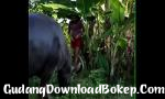 Download video Bokep HD quay lén em  dstrok ái bậy mp4