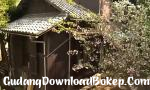 Download Video Bokep japonesa en el campo hot