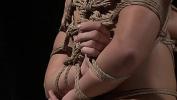 Download Bokep Master fucks his whore comma in her tight ropes period gratis