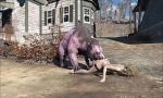 Vidio Bokep Fallout 4 Creatures