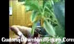 Video bokep GADIS GIAN SANGAT - GudangDownloadBokep.Com