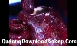 Vidio HENTAI DEMON - GudangDownloadBokep.Com