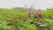 Video Bokep Hot Chief I Caught queen Anita in ur farm having sex 2022