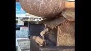 Bokep Video Wooden hand carved terbaik