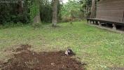 Video Bokep Hot A slave buried alive by the japanese mistre 2022