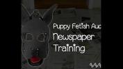 Bokep Baru Become a dog and learn what the newspaper is for