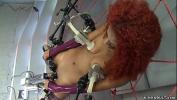 Bokep Seks Redhead ebony babe Daisy Ducati trapped in spider web with two vibrators on clit and nipples suctions applied gets fucking machine mp4