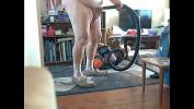 Download Video Bokep Thought the vacuum was blocked online