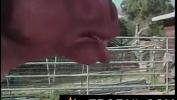 Bokep Stupid porn with horse man by Erofail com 3gp online